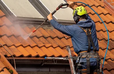 Démoussage et hydrofuge de toiture à Pajay